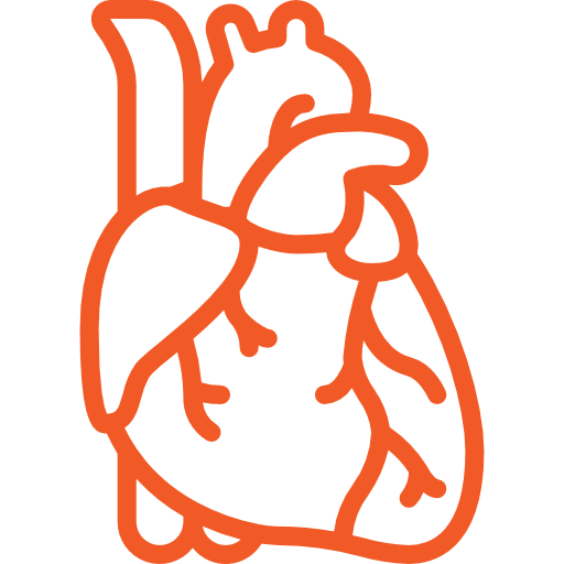 Congenital-Heart-Defects
